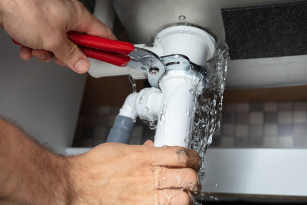 Best Water damage restoration mold remediation  in Centralia, IL