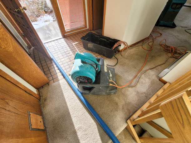 Best Emergency water damage restoration  in Centralia, IL