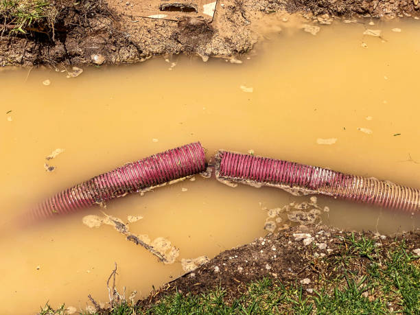 Best Sewage cleanup and water damage restoration  in Centralia, IL