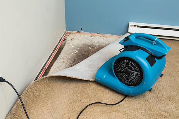 Best Local water damage restoration  in Centralia, IL